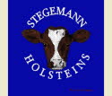 Stegemann Logo